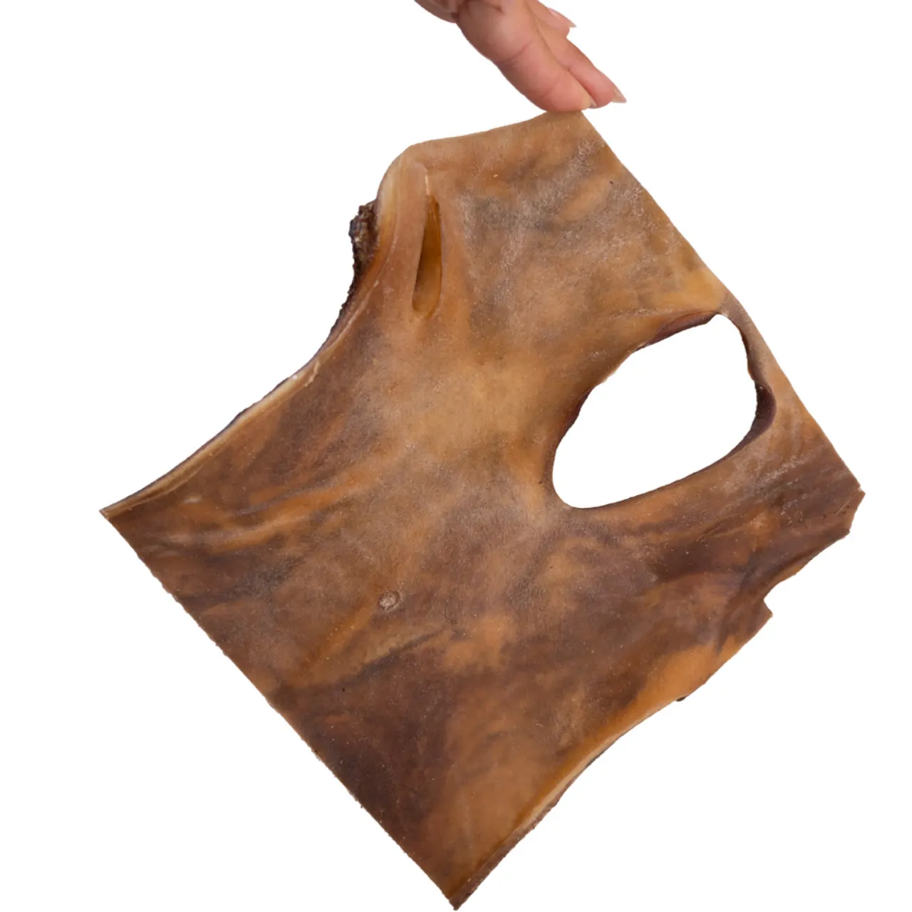 Snackit Kamelhudsplade ca. 20x20 cm - Naturlig tyggeglæde til hunde